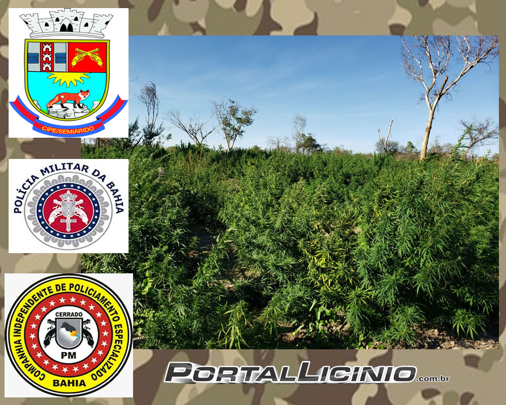 cipe cerrado 02