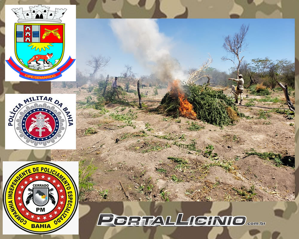 cipe cerrado 03