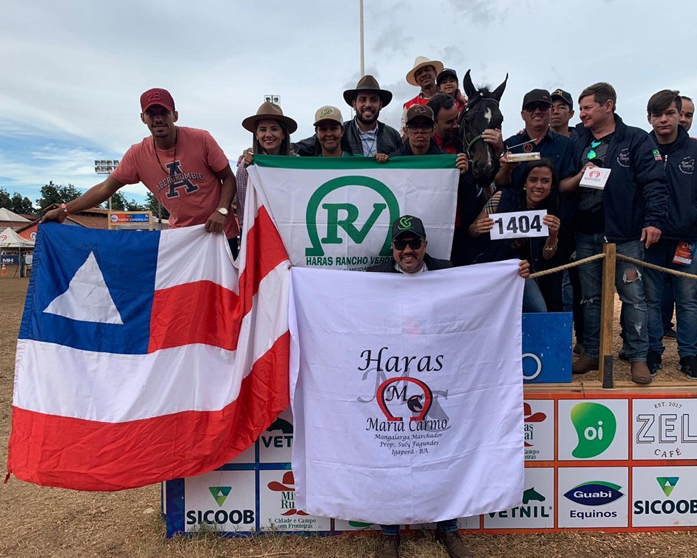 CAVALEO DE aVERALDO CAMPEÃO 01 tn