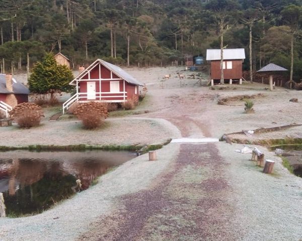 Rio Grande do Sul volta a registrar mínimas negativas e geada neste domingo