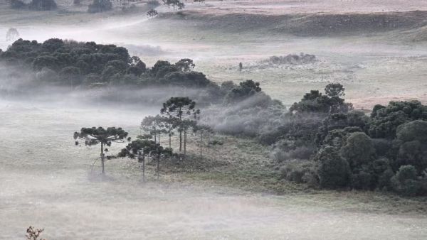 SC amanhece com temperaturas próximas a 0°C e geada