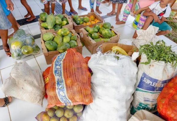 Entenda a importância do programa de agricultura familiar no combate à fome