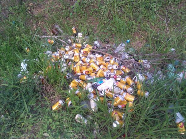 Licínio de Almeida .: Turistas Descartam Lixo em Área de Lazer.