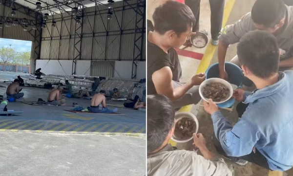 'Lista suja' do trabalho escravo &eacute; atualizada; Amado Batista e BYD s&atilde;o inclu&iacute;dos