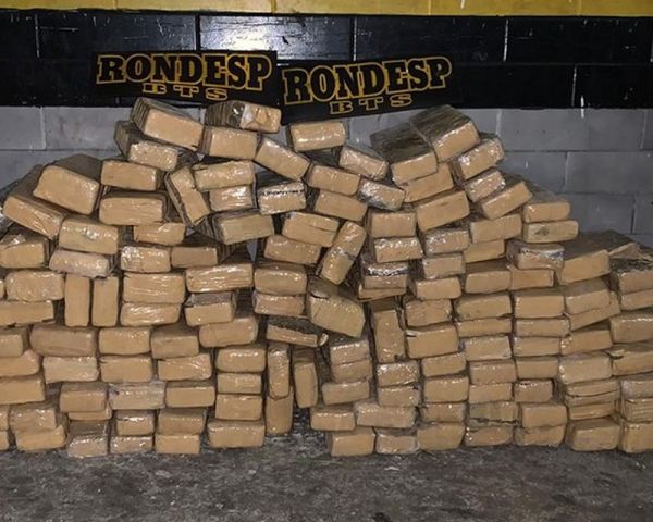 Mais de 100 kg de maconha são apreendidos em matagal na cidade de Simões Filho, na Bahia