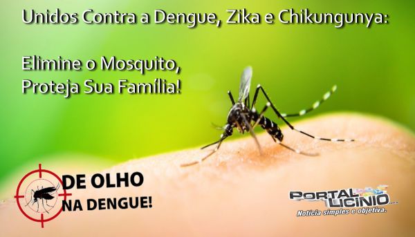 Todos em Combate à Dengue, Zika e Chikungunya.
