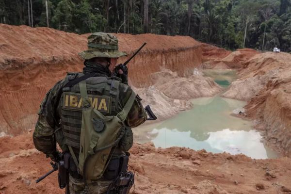 Concurso do Ibama: inscrições para 460 vagas e salários de até R$ 9,9 mil terminam nesta terça
