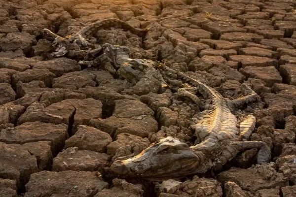 País tem quase 2 mil cidades em situação de seca e especialistas alertam para risco no Pantanal