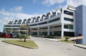 Minist&eacute;rio P&uacute;blico denuncia tr&ecirc;s pessoas por abandono de idosa na Bahia; mulher acumulava 70 gatos e