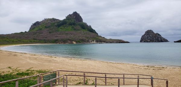 Fernando de Noronha: Praia do Sueste é interditada após criança ser atacada por tubarão
