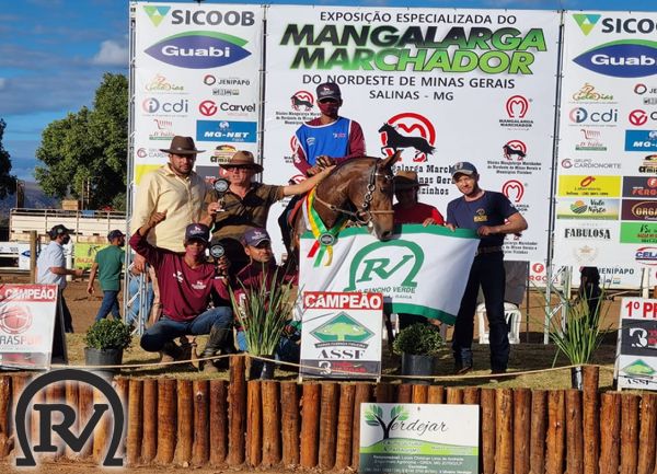 Licínio de Almeida : Haras Rancho Verde Ganha Mais Um Prêmio Em Exposição Mangalarga Machador.