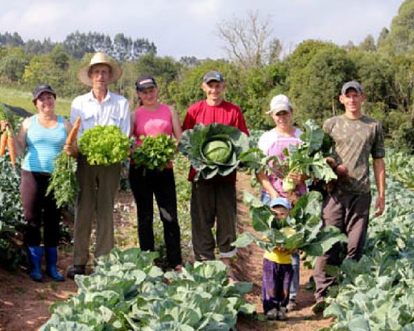 Cooperativas e associações da agricultura familiar terão linha de crédito para financiamento na BA