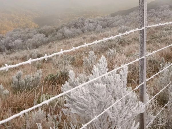 Serra de SC amanhece abaixo de -6,2ºC e registra sincelo