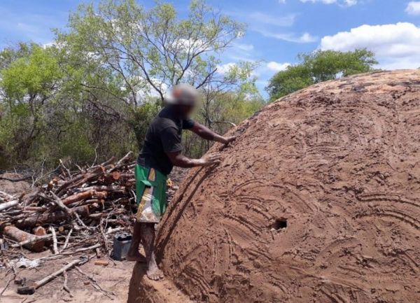 Trabalhadores de Palmas de Monte Alto são resgatados de carvoaria em situação degradante