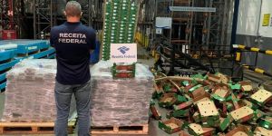 Mais de uma tonelada de cocaína é apreendida escondida entre carga de mangas no porto de Salvador