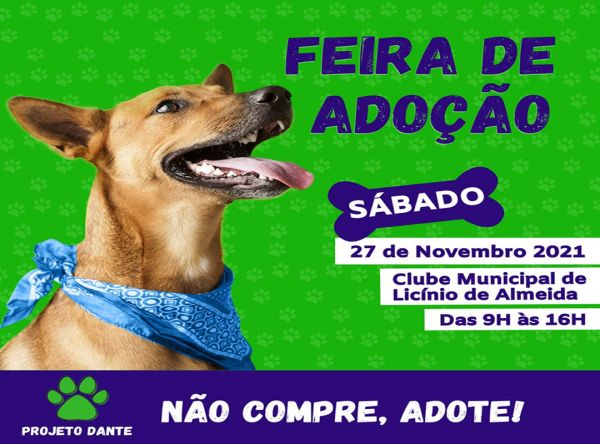 Licínio de Almeida: Conheça o Projeto Dante e Venha Participar da Feira de Adoção que Ocorrerá Neste