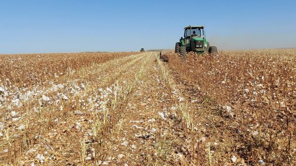 Imposto sobre Propriedade Rural: veja perguntas e respostas sobre declaração