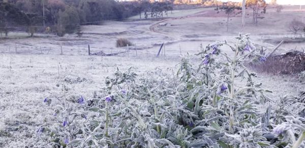 Inverno que se aproxima será atípico; El Niño trará temperaturas e chuvas acima da média em parte do