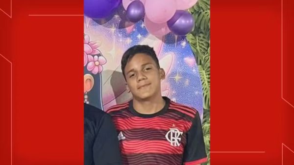 Adolescente leva mais de 4 mil picadas de abelhas em escola no DF