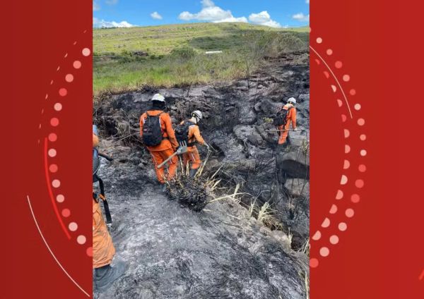 Chapada Diamantina:Bombeiros controlam incêndio de grandes proporções em região de mata do Pai Ináci