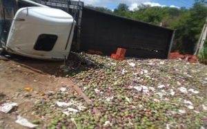 Carreta carregada de mangas tomba na BA-026 ap&oacute;s falha mec&acirc;nica em Lic&iacute;nio de Almeida