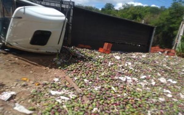 Carreta carregada de mangas tomba na BA-026 ap&oacute;s falha mec&acirc;nica em Lic&iacute;nio de Almeida