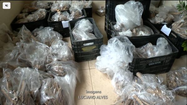 Sítio arqueológico com estruturas milenares é encontrado em vila de pescadores na Bahia