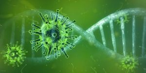 Farmacêutica americana anuncia descoberta de anticorpo que neutraliza o coronavírus