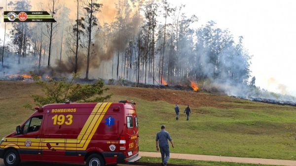 Avião cai em área de mata e sete pessoas morrem em Piracicaba; sócio da Raízen e família estão entre