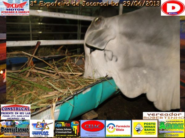 28/06/2013 - Expo-feira de Jacaraci